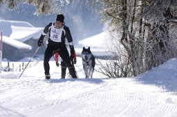 Lenk 2013